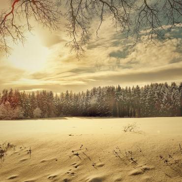 Die perfekte Hochzeit Teil 2 - Winter Wonderland: Märchenhochzeit im Winter Die perfekte Hochzeit Teil 2 - Winter Wonderland: Märchenhochzeit im Winter