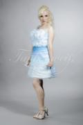 Abendkleid TW0002A - Abendkleid hellblau Organza Blüten Perlen Farbverlauf 1