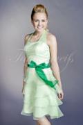 Abendkleid TW0006A - Abendkleid grün kurz Organza Neckholder schlicht 2