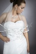Brautkleid TW0086B - schmale A-Linie Organza silberne Stickerei schlicht 2