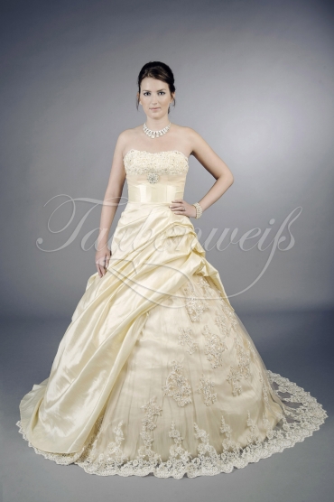Brautkleid TW0085B - A-Linie Taft Spitze Perlen Raffungen Schnürung