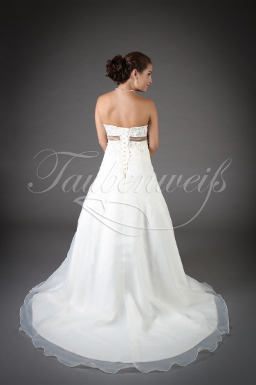 Brautkleid TW0146B - A-Linie Organza silberne Stickerei braunes Band Schnürung 3